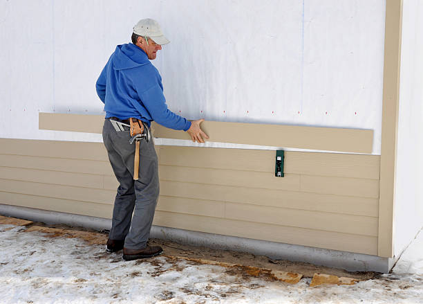 Best Vinyl Siding Installation  in Buena, NJ